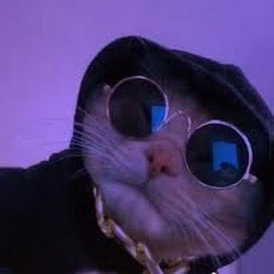 ChillCatDude