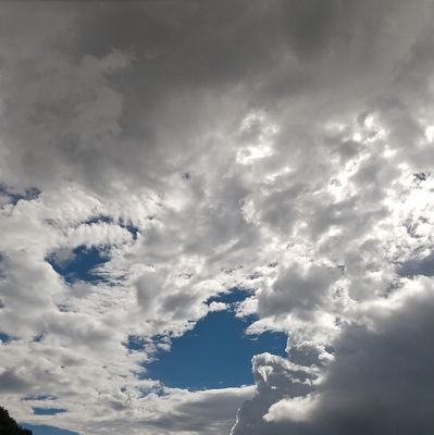 tao_guard's profile picture. ライトゲーマー、社畜。