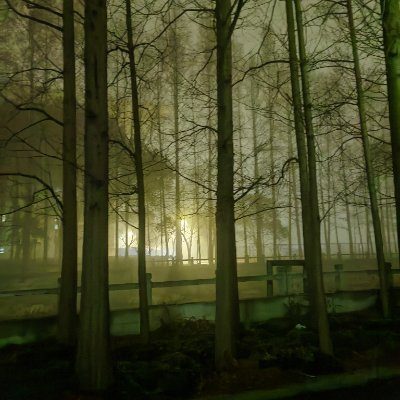 lymyyazyy's profile picture. 