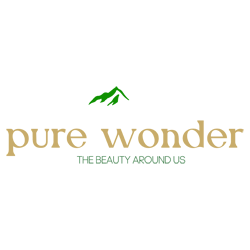 Purewonderca's profile picture. 