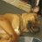 Erick__Rodrigo's profile image