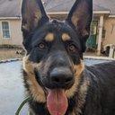 Kaydee Moore - @kaydee_moo95592 - Twitter