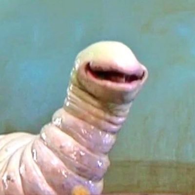 book_lungs's profile picture. 🕷a tarantula on a slice of angel food cake