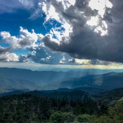 _so_la_'s profile picture. しばらくおやすみ。