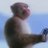 tonytonymasa916's profile image