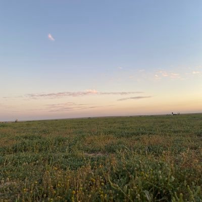 m_alkhwaiter's profile picture. 