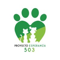 ProyectoEsperanza503(@PEsperanza503) 's Twitter Profile Photo