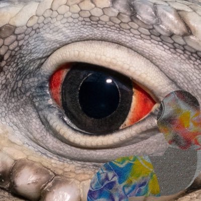 xjeremyharris's profile picture. one long side quest