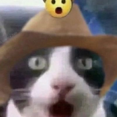 SamMoonJ's profile picture. Little works I do for fun, witness them!