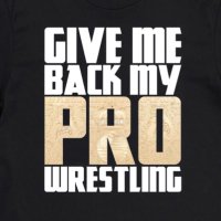 Give Me Back My Pro Wrestling(@gmbmpw) 's Twitter Profile Photo