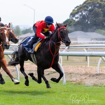 Ericabyrne_1's profile picture. ☘️🇦🇺 25 ,apprentice🐎