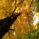 Daniel Ares López - @DanielZoqueiro - Twitter