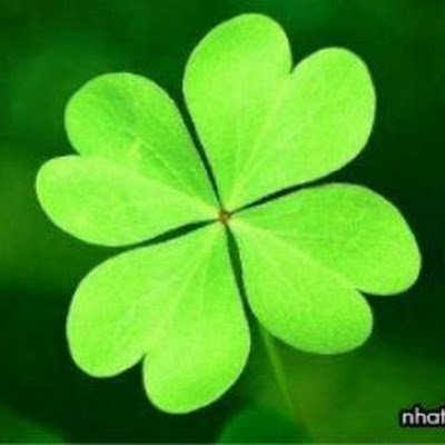 2_lin19536's profile picture. 