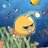akaii22's profile image