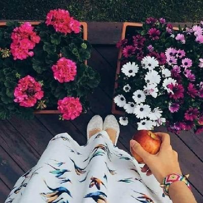 AlsoMawar71053's profile picture. 