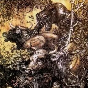 tom_tomthecat's profile picture. 