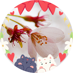 Neigette's profile picture. 