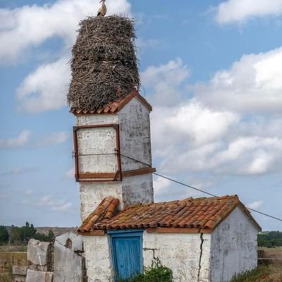 FSimitiel's profile picture. 