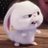 sofiacastrome's profile image