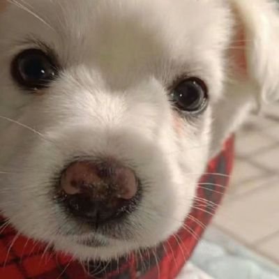 Marpsc_luu's profile picture. 