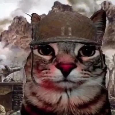 MaxCat72509378's profile picture. 