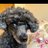g5fcuu's profile image