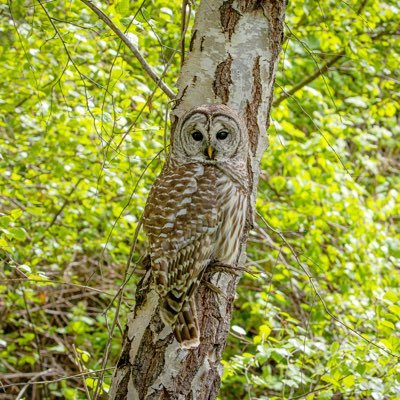 micahgphoto's profile picture. ❤️ 📷 🏔 https://t.co/7DrnN36wy0