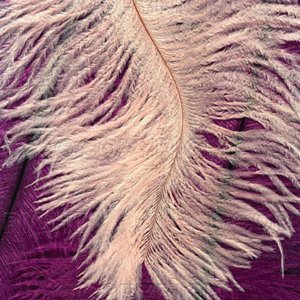 tagalhegaz's profile image