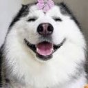 rachel krawczyk - @trueiconiac1234 - Twitter