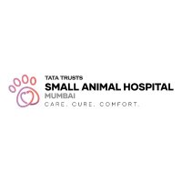 Small Animal Hospital Mumbai (@sahmumbai) Twitter profile photo
