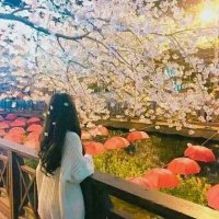 Ava (@echo_wisp38130) 's Twitter Profile