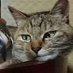 digital gato enjoyer (@notreally_zs) Twitter profile photo digital gato enjoyer (@notreally_zs) Twitter profile photo