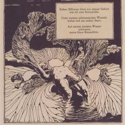 dnckrog's profile picture. 