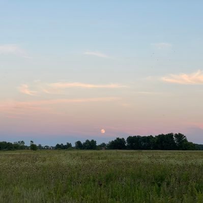 Rajesh_Gadipudi's profile picture. 