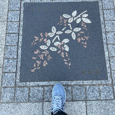 FUNRUNsendai's profile picture. 2012年秋からゆるゆると走り始めました。記録はさておき、仙台（と旅先）で楽しく走っています。PB ハーフ1:41 フル3:54  60k7:42 71k9:57 78k10:34 100k13:48 113k17:51 122k19:54 129k 23:09