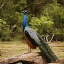 Raymond Sumner - @raymond_su80032 - Twitter