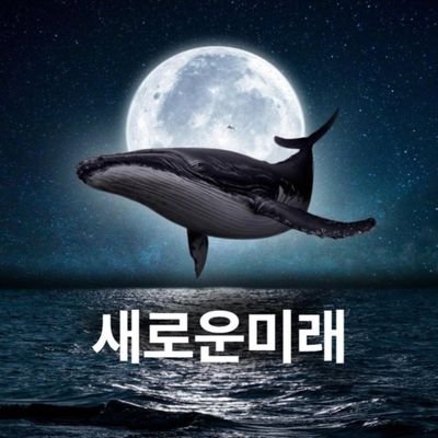 원조 문파!
긍정적인 사람,
밝은에너지 좋아함.
독서.수영이 취미.
새로운미래를 꿈 꾸는~