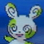 The Daily Spinda(@TheDailySpinda) 's Twitter Profile Photo