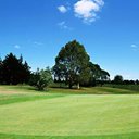 Tasha Ramirez - @RamirezTas34798 - Twitter