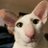 NapayuPidtungla's profile image