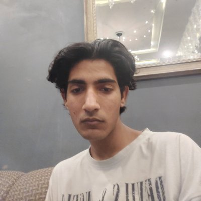 faizanwtf's profile picture. I stupid therefore I'm dumb