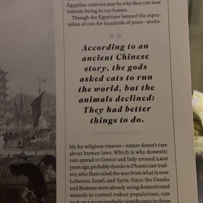 Teddypanda19's profile picture. 