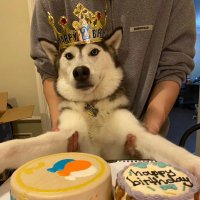 PJ (@pjwannahaveam) 's Twitter Profile