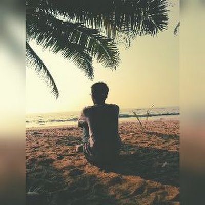 StormPhoenix69's profile picture. 