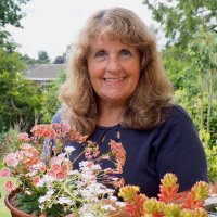 Val Bradley(@valgardening) 's Twitter Profile Photo