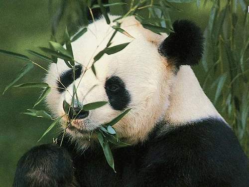 dooog2265's profile picture. 