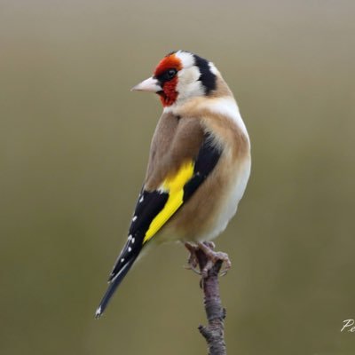 Peter Skelton ,Landscape and nature Photographer based in Galway https://t.co/tLdIYC0MbM #photography #photographer #ireland