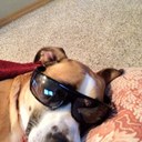 SparklyC - @CariMitchell - Twitter