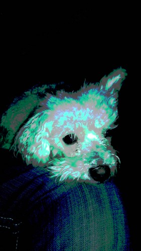 SethOkin's profile picture. My whole story is straight mythical. It's tangible, but it's also what life could be...