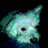SethOkin's profile image